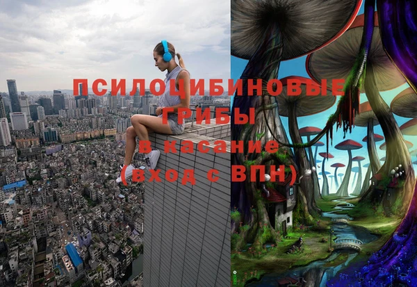 а пвп мука Абаза