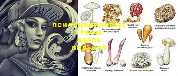 стафф Абинск