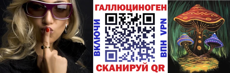 наркотики  Холмск  omg ссылки  Псилоцибиновые грибы мицелий 